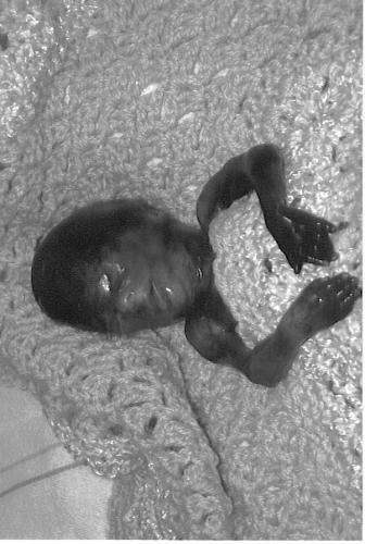 06-16-2007 12X24X11PM