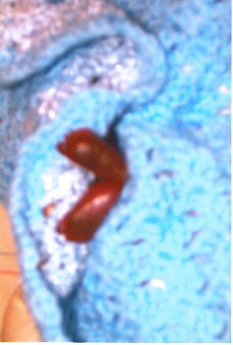 06-16-2007 12X44X12PM